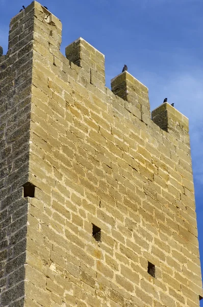 Castillo de Sadaba —  Fotos de Stock