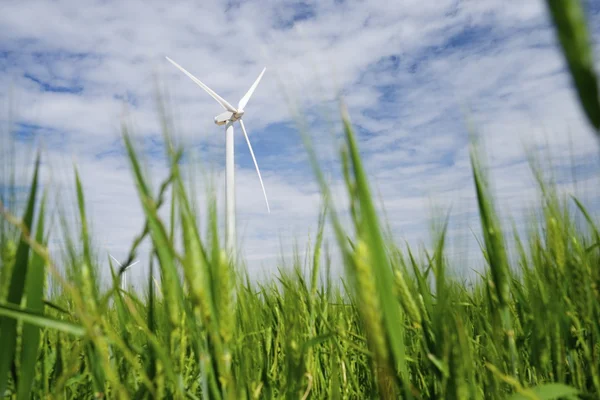 Energía eólica — Foto de Stock