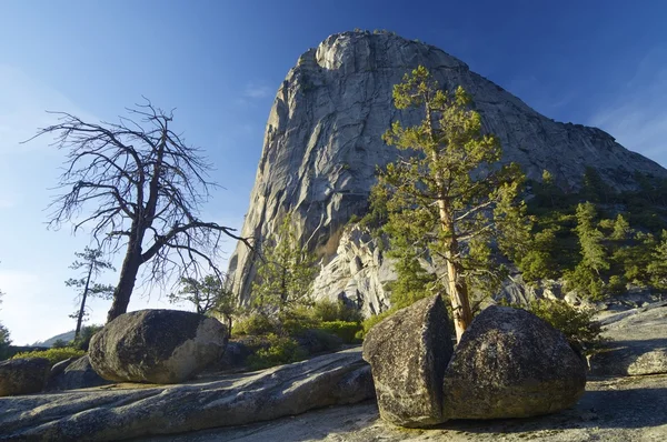 Liberty Cap — Stockfoto