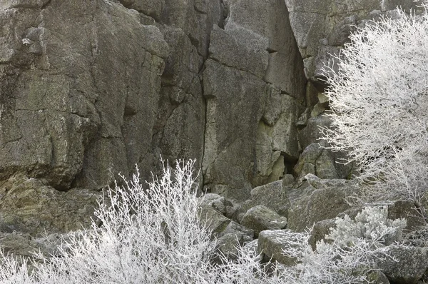 Sneeuwval — Stockfoto