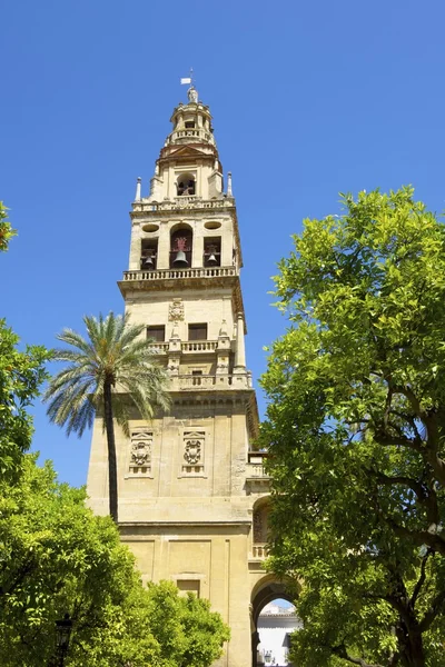 Mesquita em Córdoba — Fotografia de Stock