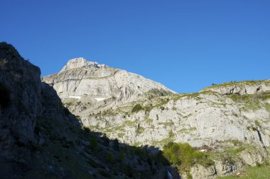 Pyrenees