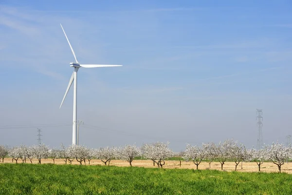 Rüzgar enerjisi — Stok fotoğraf