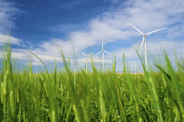 Energía eólica — Foto de Stock