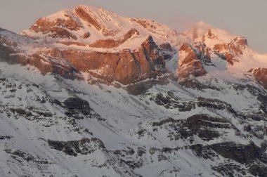 Pyrenees