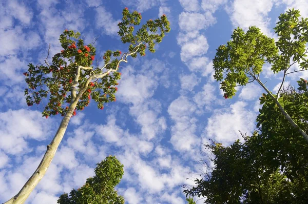 Vinales Mountains — Stock Photo, Image