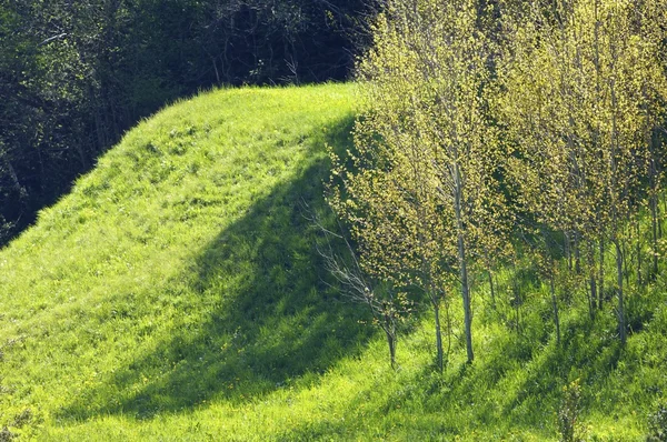 Pyrenäen — Stockfoto