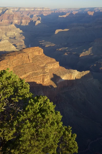 Grote Canyon — Stockfoto