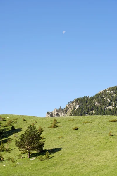 Pyrenees — Stock Photo, Image