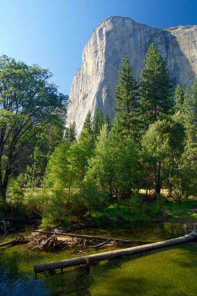 El capitan — Stockfoto