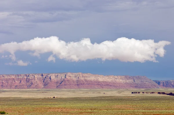 Landscape — Stock Photo, Image