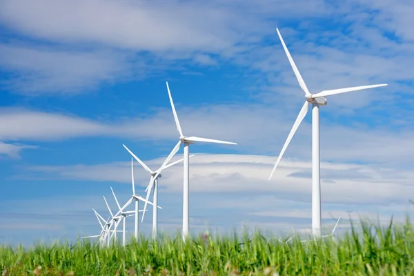 Wind energy — Stock Photo, Image