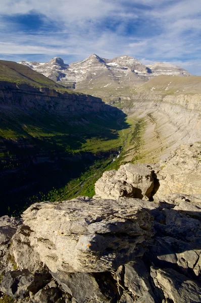 Pyrenees — Stock fotografie