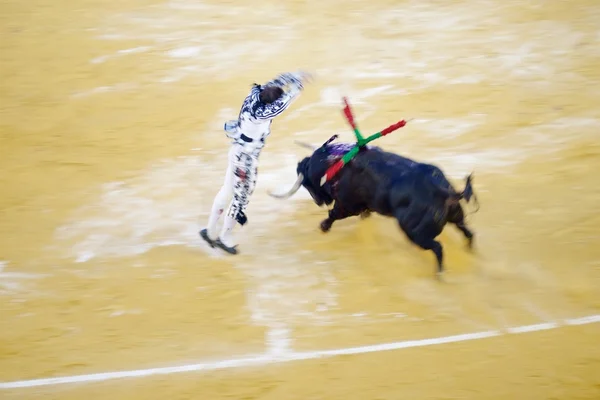 Corridas de toros —  Fotos de Stock