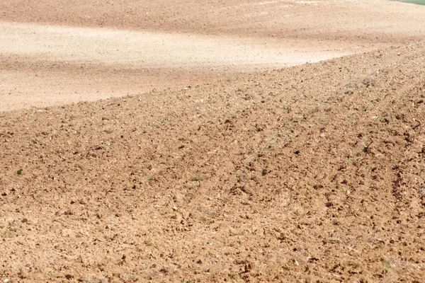 Landbouwgrond — Stockfoto