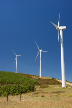 rüzgar enerjisi