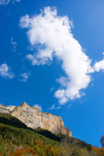 Pyrenees — Stok fotoğraf