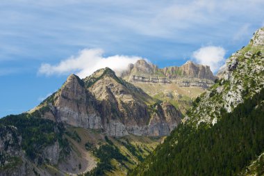 Pyrenees