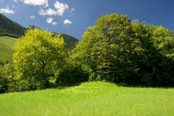 Pyrenäen — Stockfoto