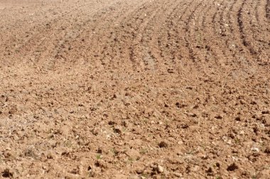 İspanya tarım arazisi