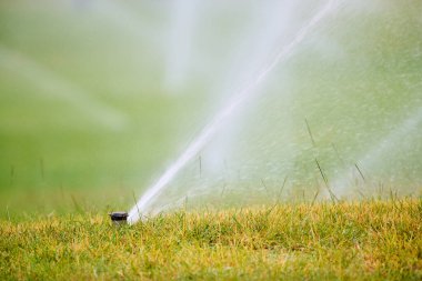 Bir kamu parkının çimlerini sulayan fıskiyelerin yakın çekimi.