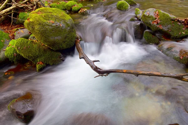 Creek w Francja — Zdjęcie stockowe