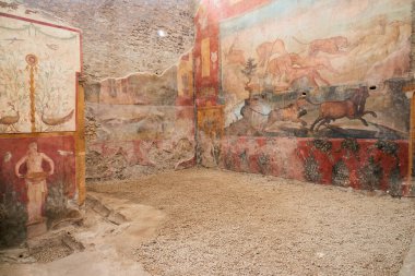 Roma 'nın Pompeii şehrindeki bir evde duvar resmi.