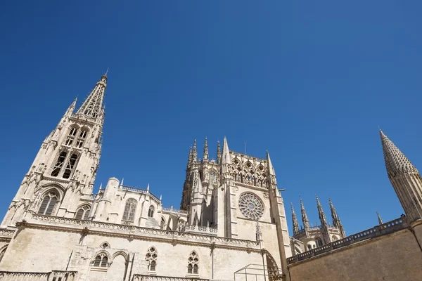 Burgos katedral — Stockfoto
