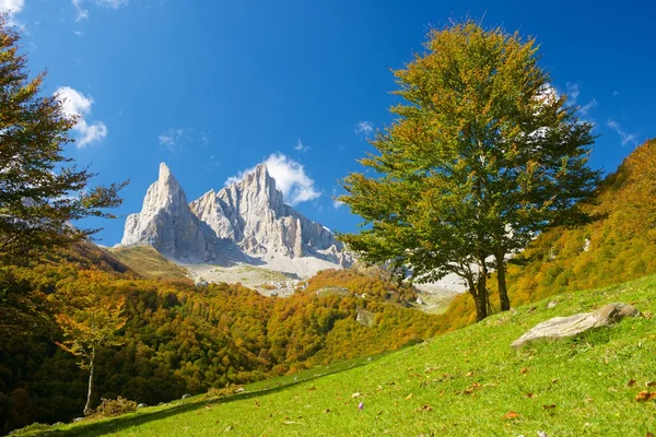 Pyrénées — Photo