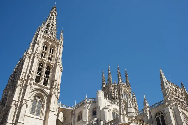 Burgos katedral Visa — Stockfoto