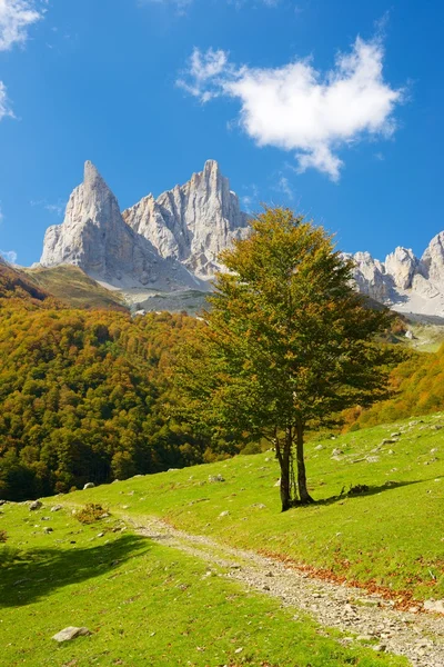 Pyrénées en France — Photo