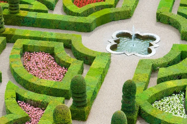 Garden in Loire valley — Stock Photo, Image
