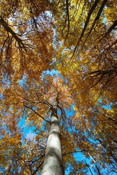 MONCAYO doğal park — Stok fotoğraf