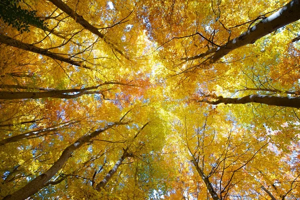 Moncayo Natural Park — Stock Photo, Image