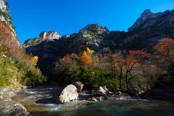 Moncayo Natural Park — Stock Photo, Image