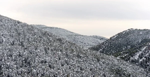 Přírodní park Moncayo — Stock fotografie