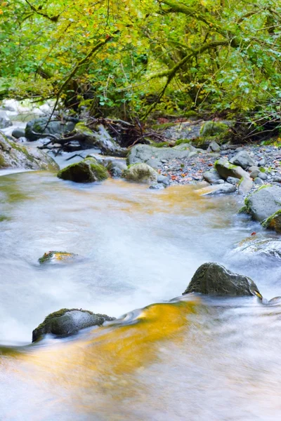 Naturpark Moncayo — Stockfoto