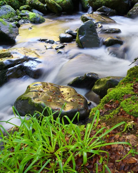 Naturpark Moncayo — Stockfoto