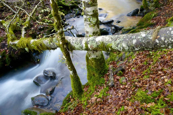 Naturpark Moncayo — Stockfoto