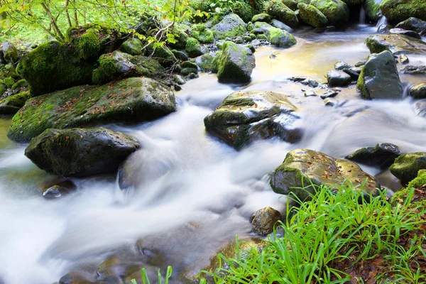 Moncayo naturpark - Stock-foto