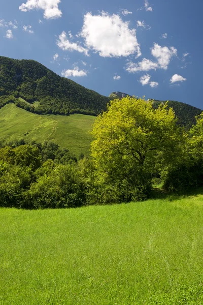 Fransa'da Pirene — Stok fotoğraf