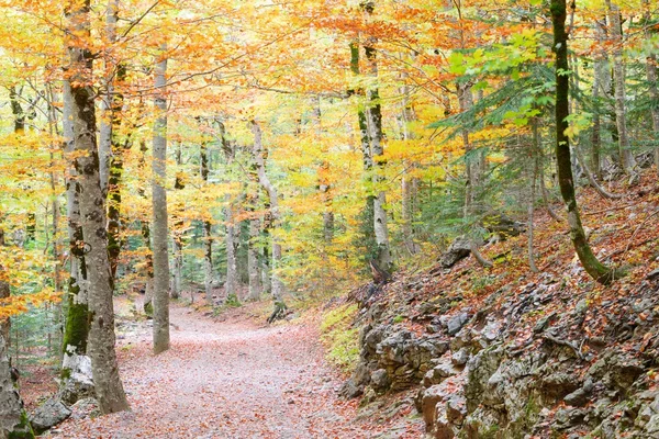 Nationaalpark Ordesa — Stockfoto