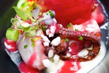 Ahtapot tapa görünümü