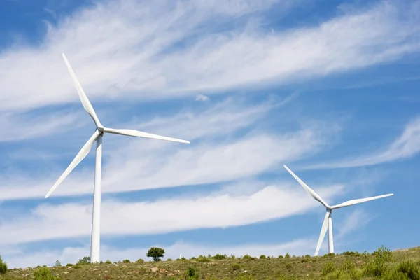 Concepto energía eólica —  Fotos de Stock