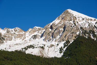 Pyrenees İspanya