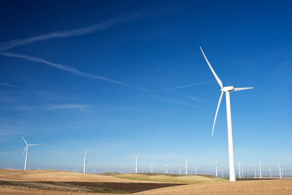 Concepto energía eólica — Foto de Stock