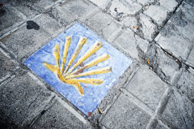 Santiago yolu kabuğu