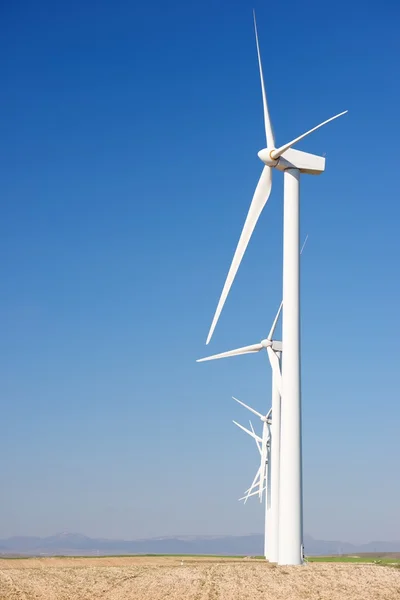 Concepto energía eólica —  Fotos de Stock