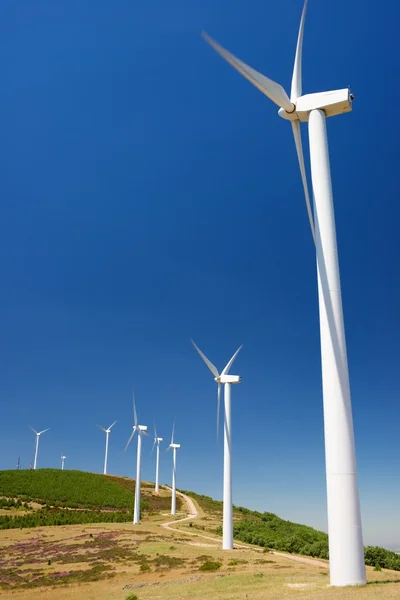 Produkce obnovitelné energie — Stock fotografie