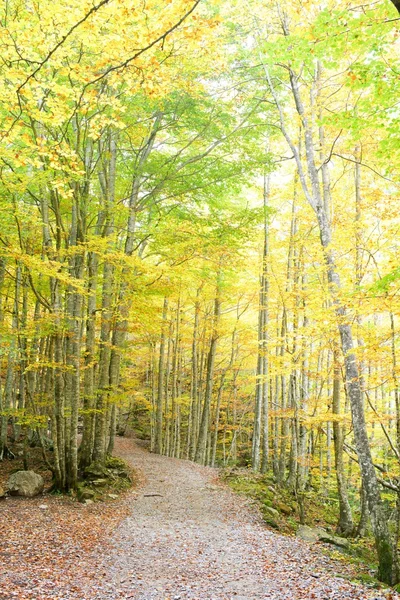 Parque Nacional de Ordesa — Foto de Stock